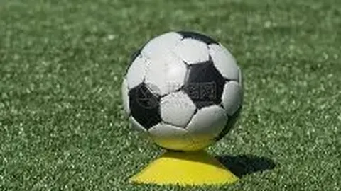 金宝博197bet体育 资讯 134524 5in